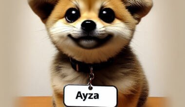 Cachorro animado sorridente com placa "Ayza".