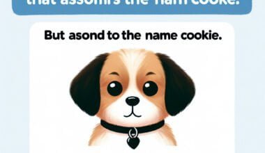 Cachorro desenho e biscoitos em forma de animais.